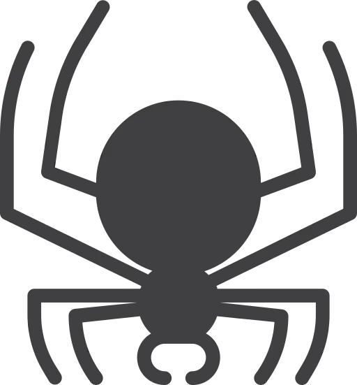 spider 1